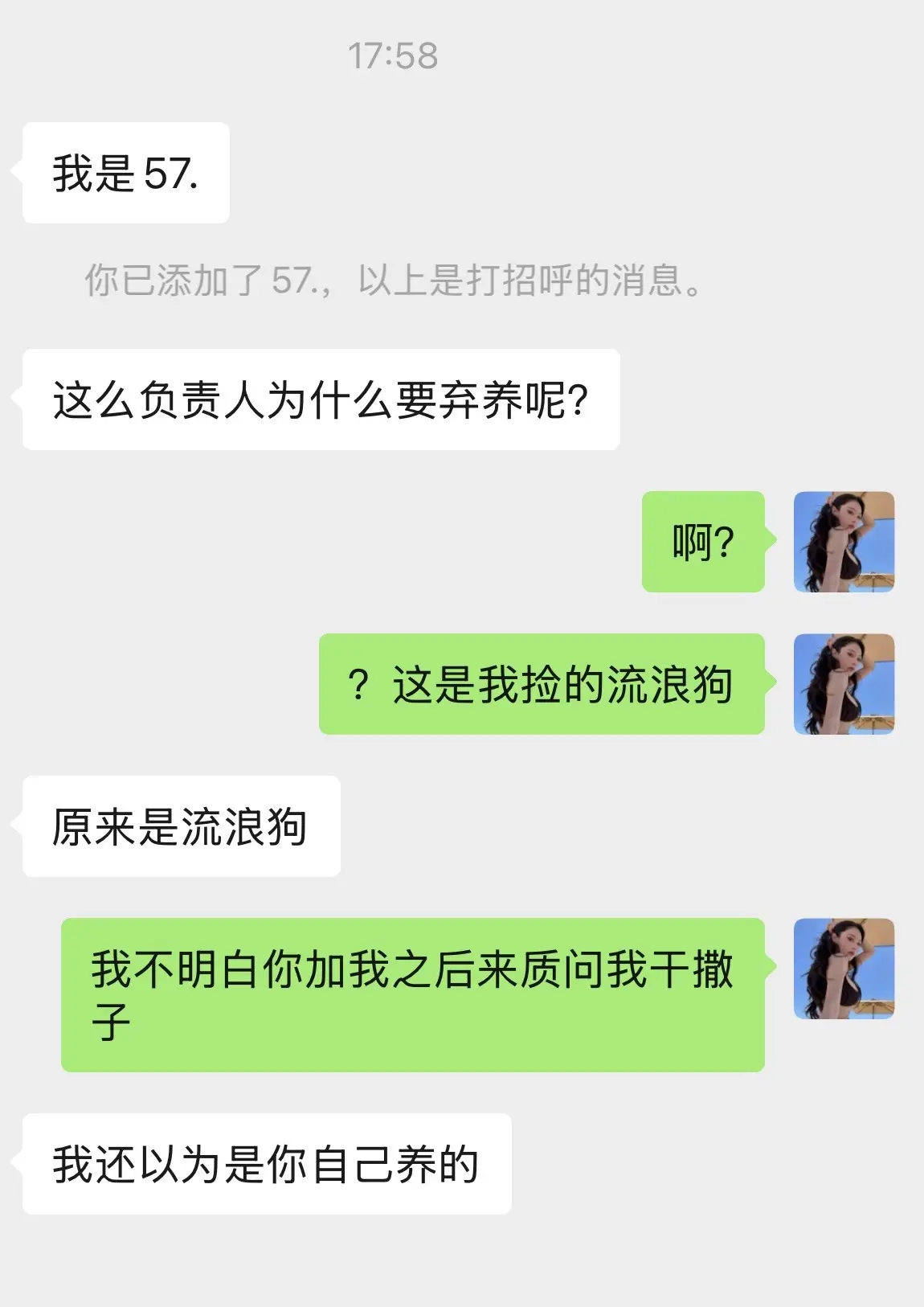 我已力竭 谁来把狗领养起走😂难道我发的还不够清楚吗 是流浪小狗找领养...