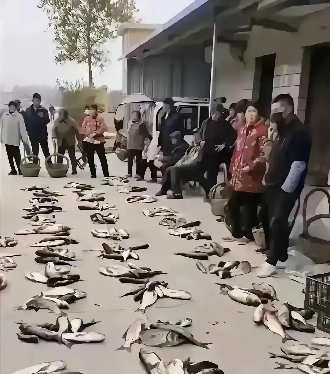 过年的感觉。