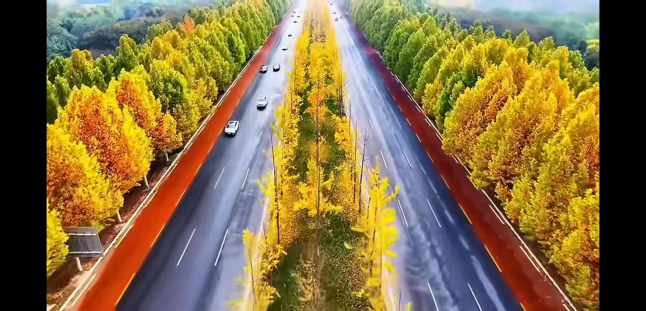 看到说国家队球员退役后出国当教练不合适，是什么感觉？
是不是可以这么理解：
1.