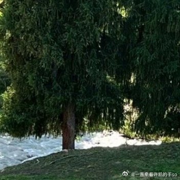 阳光信用 每日一善 生命的天空里，有风和日丽，亦有云遮雾障。不是每轮艳阳都暖人，