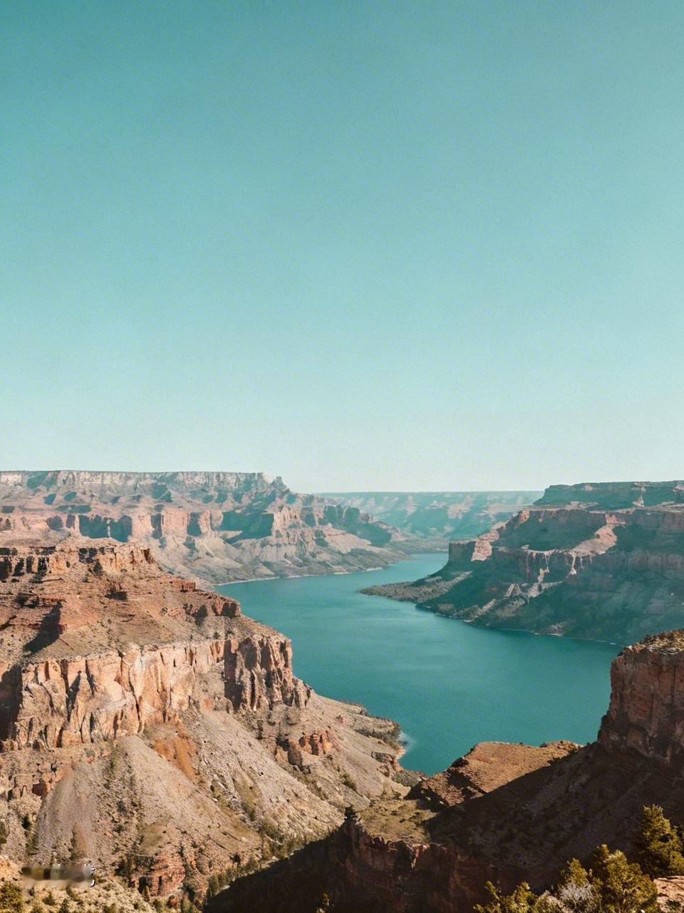 特朗普上台后，露出了美国政府霸凌世界的真面目，尤其是对以前的美国传统盟友国家，更