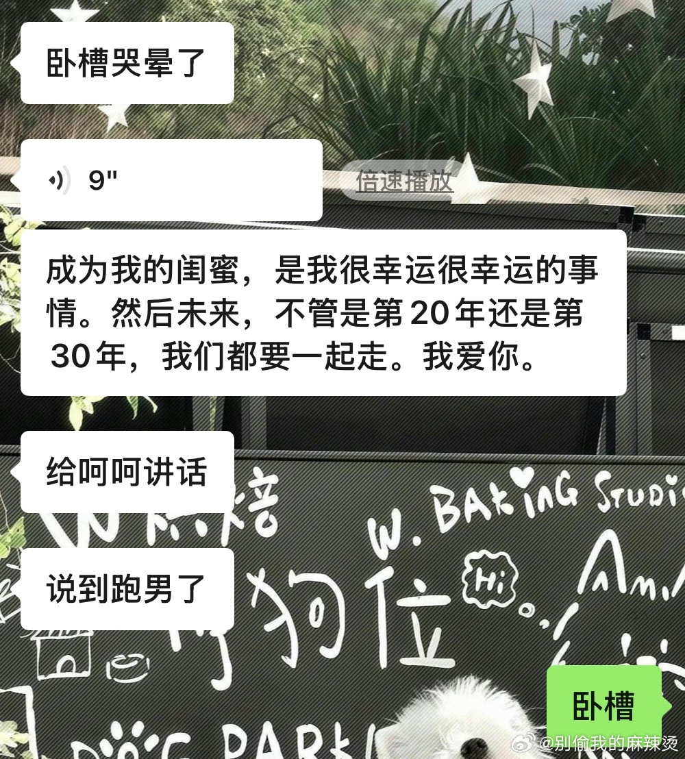 卧槽老鹿老呵我一直在哭 