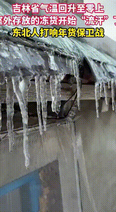 2026年春节前，东北突然撞上暖冬，室外那天然“大冰箱”直接罢工。吉林松原的张女