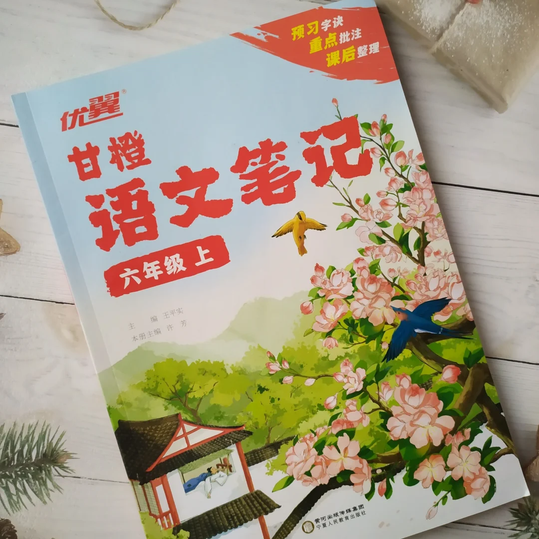 甘橙语文笔记 学会学习