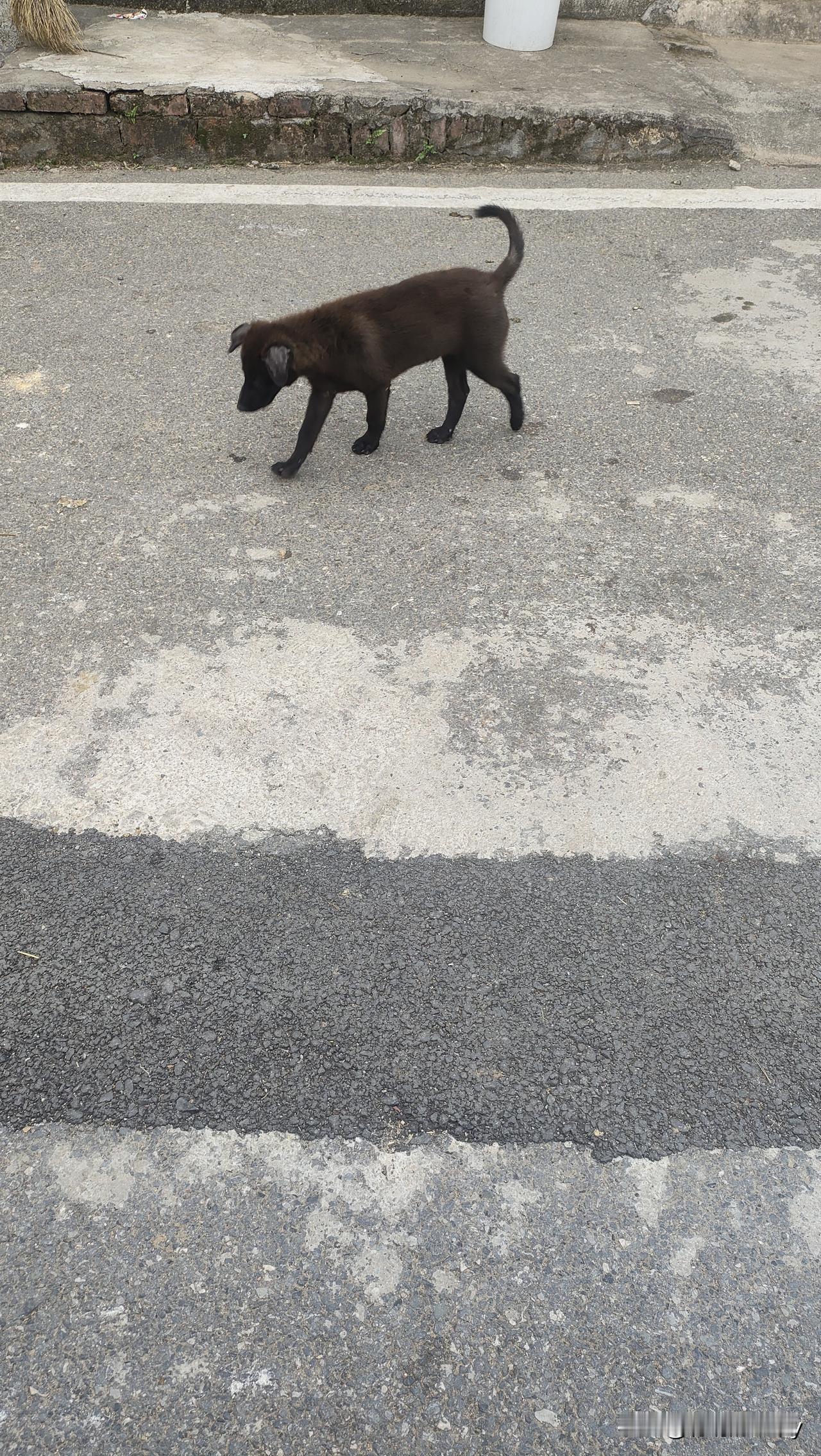 说一句带‘雪’的诗句雪似梅花，梅花似雪，