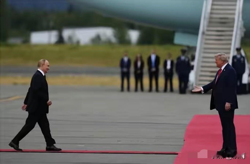 没有对比就没有伤害。

普京会见特朗普与泽连斯基会见特朗普。

一个踩着红毯，一