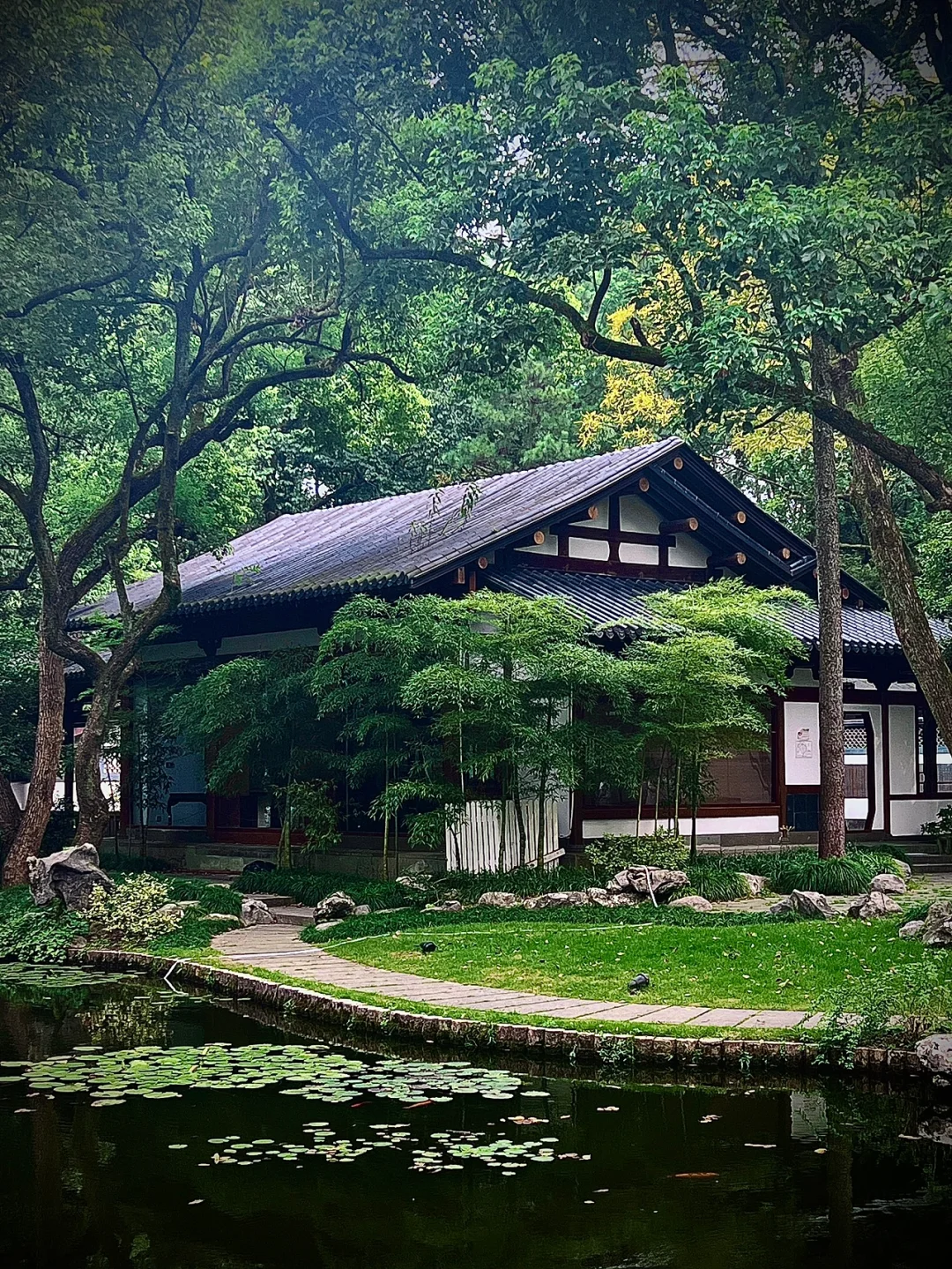 杭州西湖边竟然藏着一个世外桃源⁉️中式园林