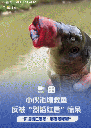 解释不清了！小伙在自家鱼塘钓鱼时，在鱼塘边上发现一条鱼在游动，怎么赶也不走，不知