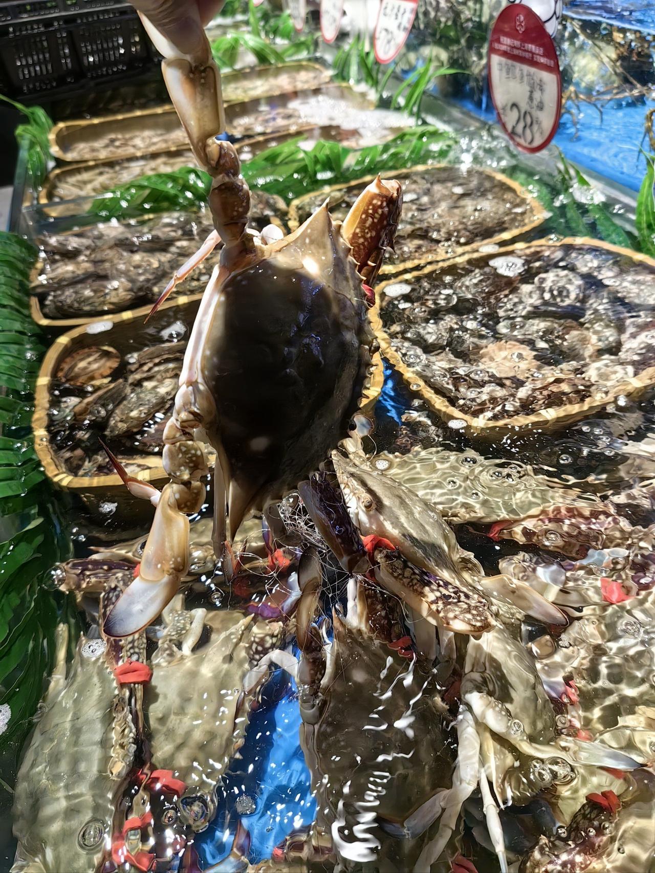 浙江开海限定✨东海梭子蟹美食打卡攻略🦀
谁能拒绝一口肥到流油的东海梭子蟹！舟山