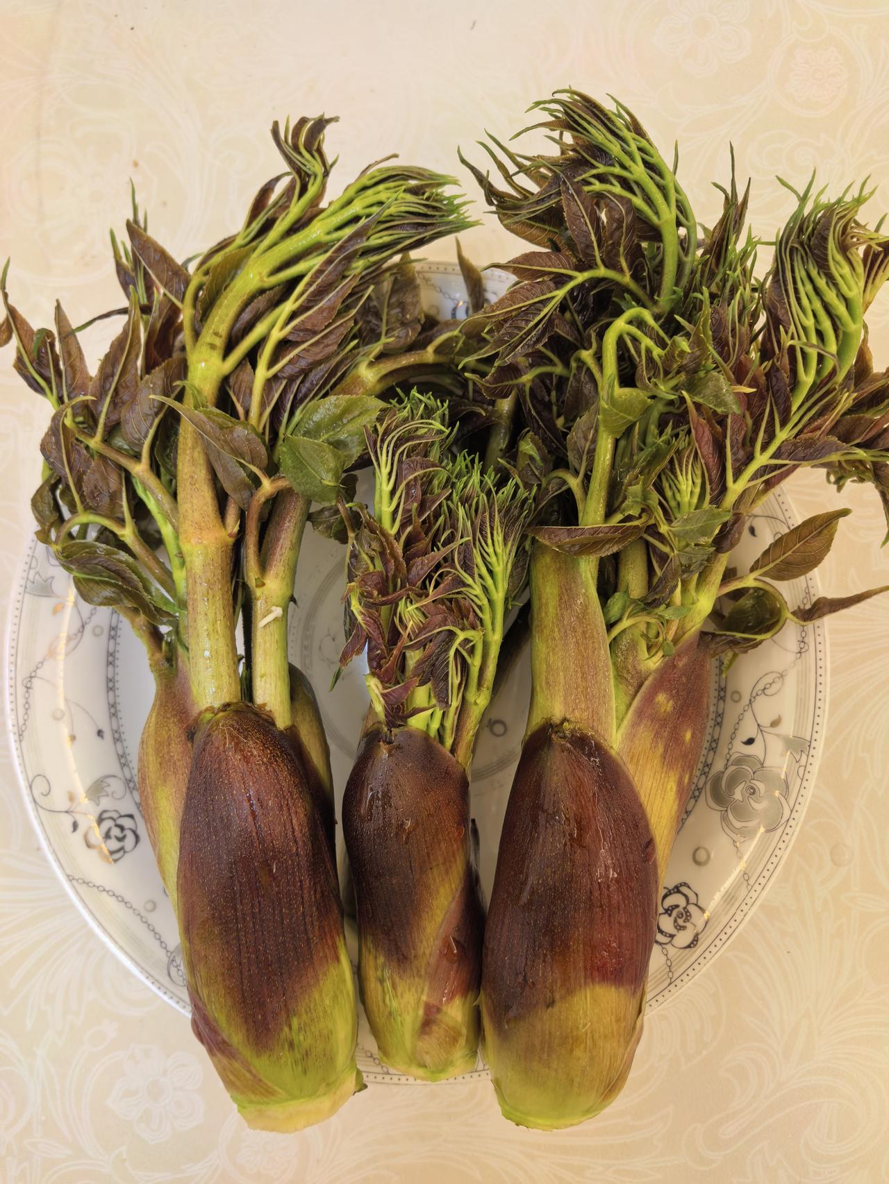 分享一张最近随手拍的照片在深圳能买这山野菜，真没想到。老家天水一带深山老林才有，