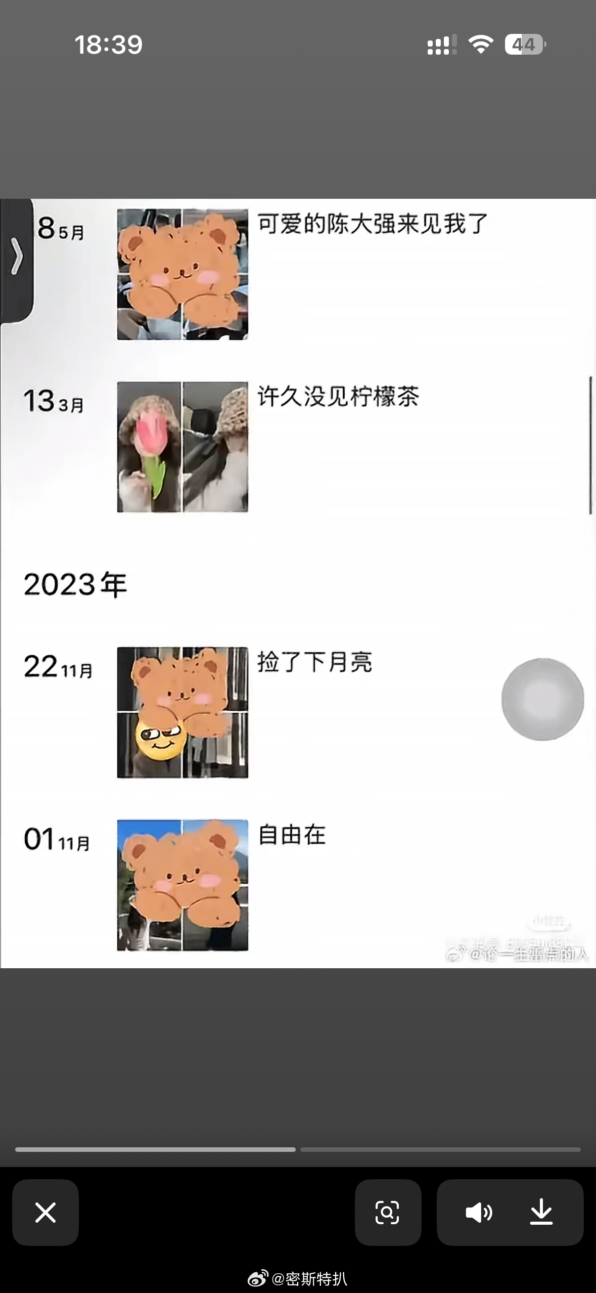 《粉丝名和嫂子家的狗一个名字》哈哈哈哈哈哈哈哈哈哈我要笑成转转二手折叠屏了哈哈哈