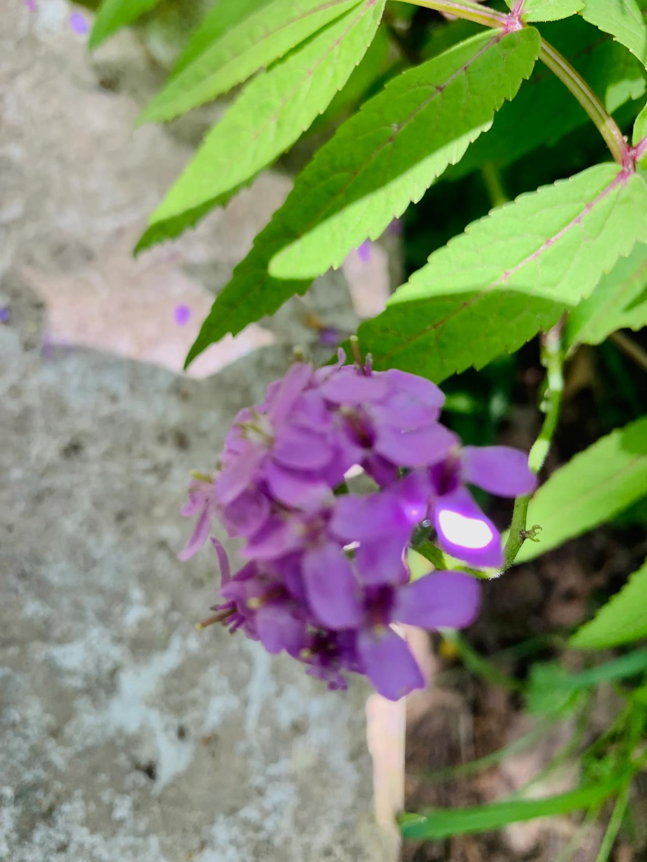 自从不再管他的钱之后，我就过上了幸福的生活。
不由得感慨：醒悟得太晚了啊！

这