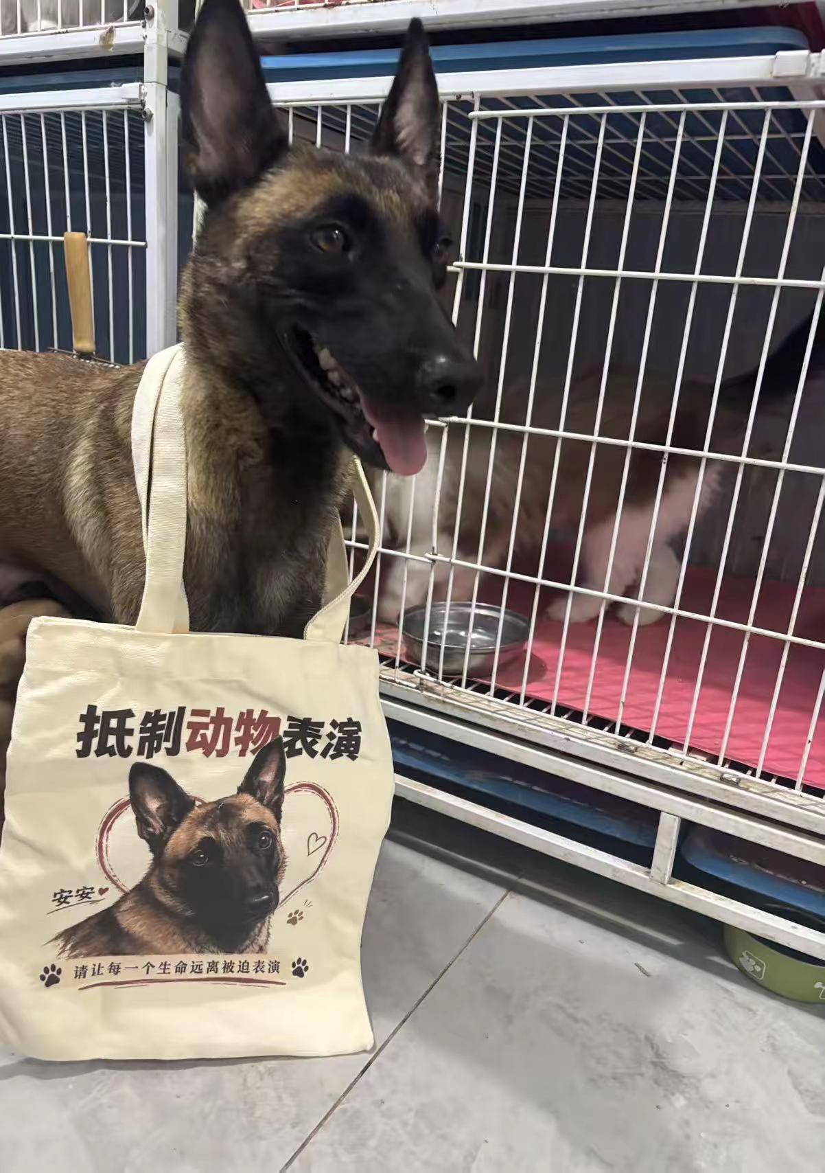 安安包包 在隔壁🍠哦