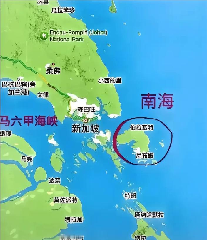 新加坡外长又跳出来了，拍桌子嗷嗷大叫！

近日在越南召开的东盟国家会议上，新加坡