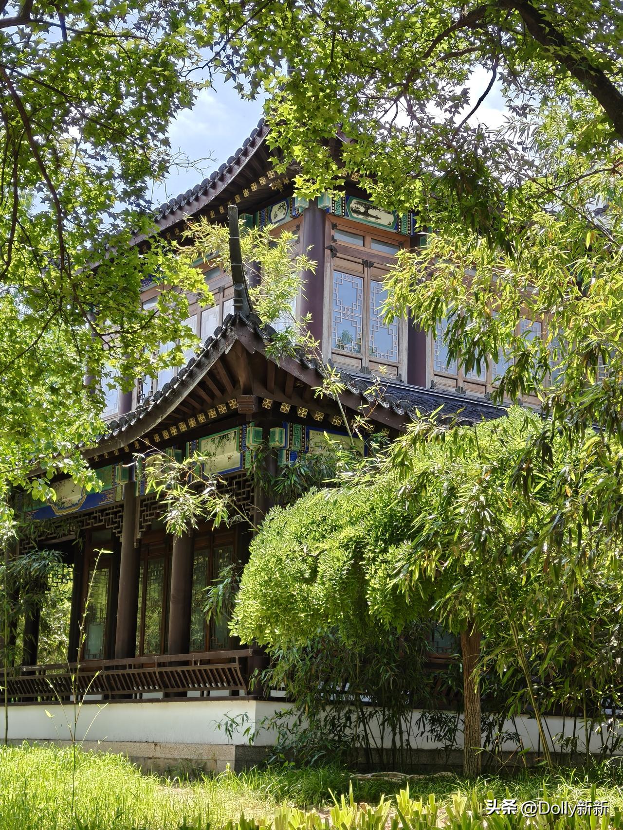昨天午后，驱车走进北宫国家森林公园。告别城市喧嚣，一头扎进漫山绿意里。
园内林木