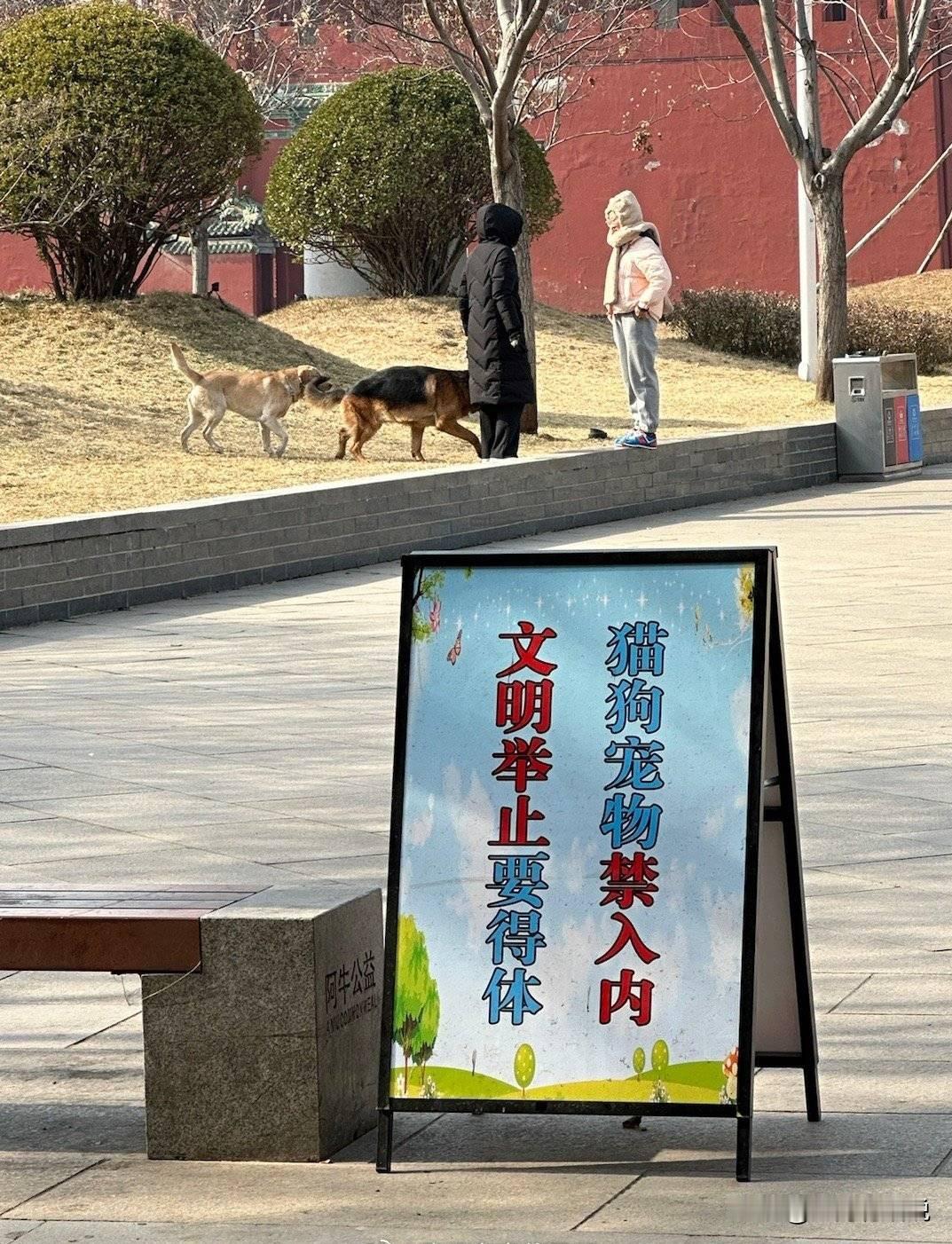 发现没有，现如今在社会上有些人说的明明是假的却还是有人信！
老公会说有钱了就给你