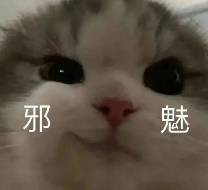 #普里戈任确认在坠机中遇难#鹅粉：这肯定是西方干的，西方！普大帝没有那么心胸狭隘