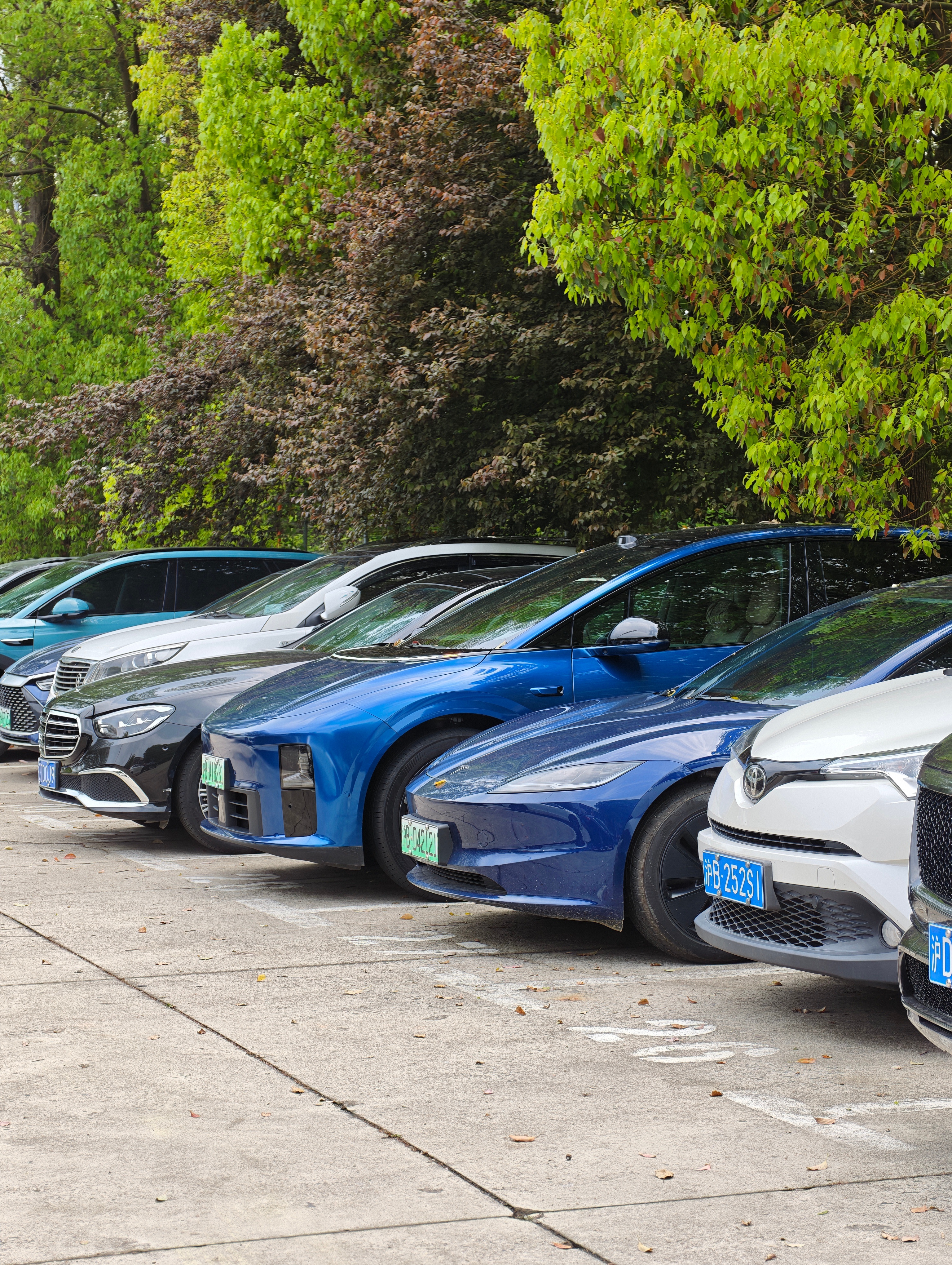 8000块的选装色我高攀不起，3000块的改色膜我一年一换。 