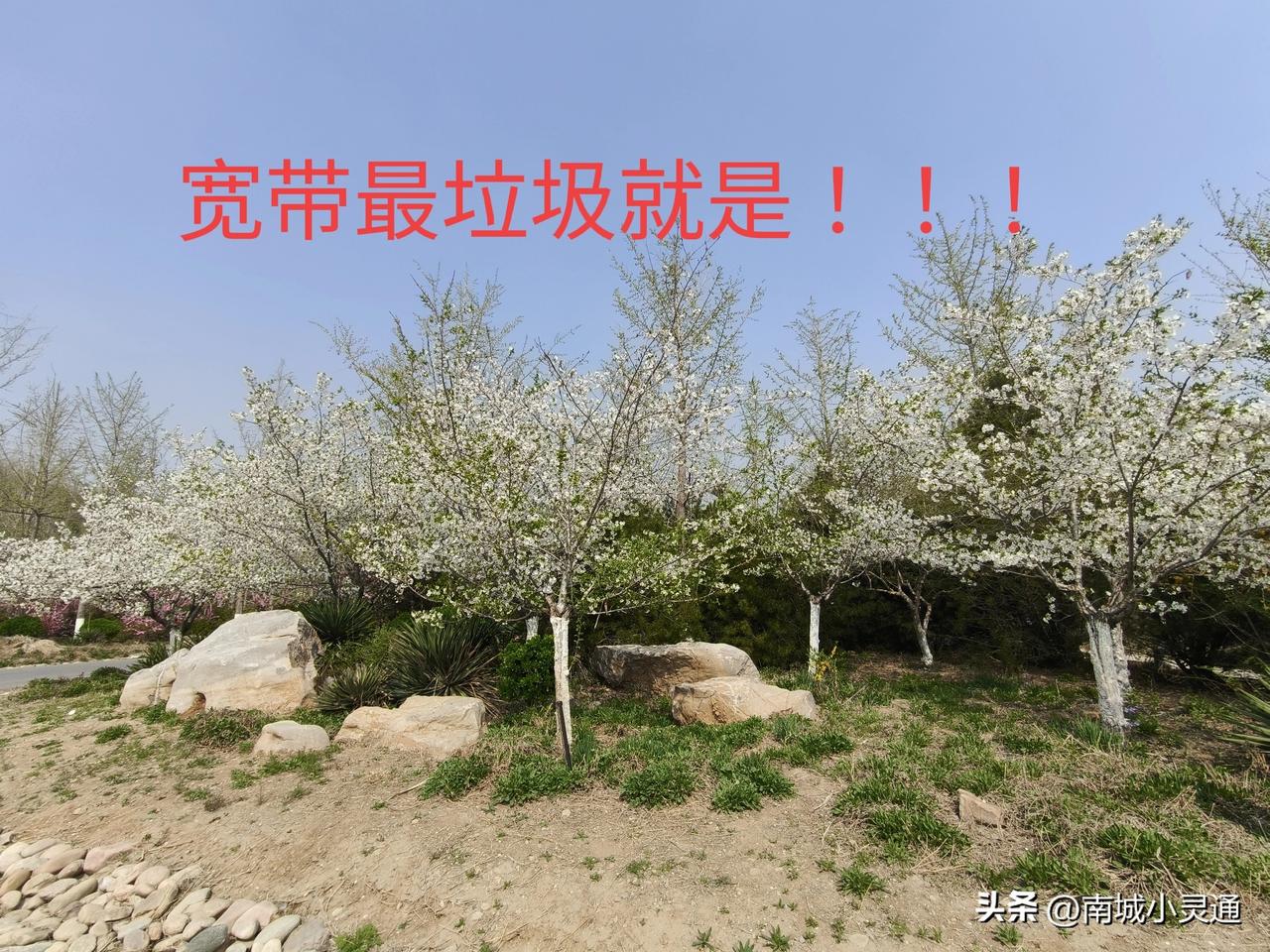 在淄博移动的宽带莫名其妙就上不去网了，移动宽带不但网速慢，坏的频率也最高。
感觉