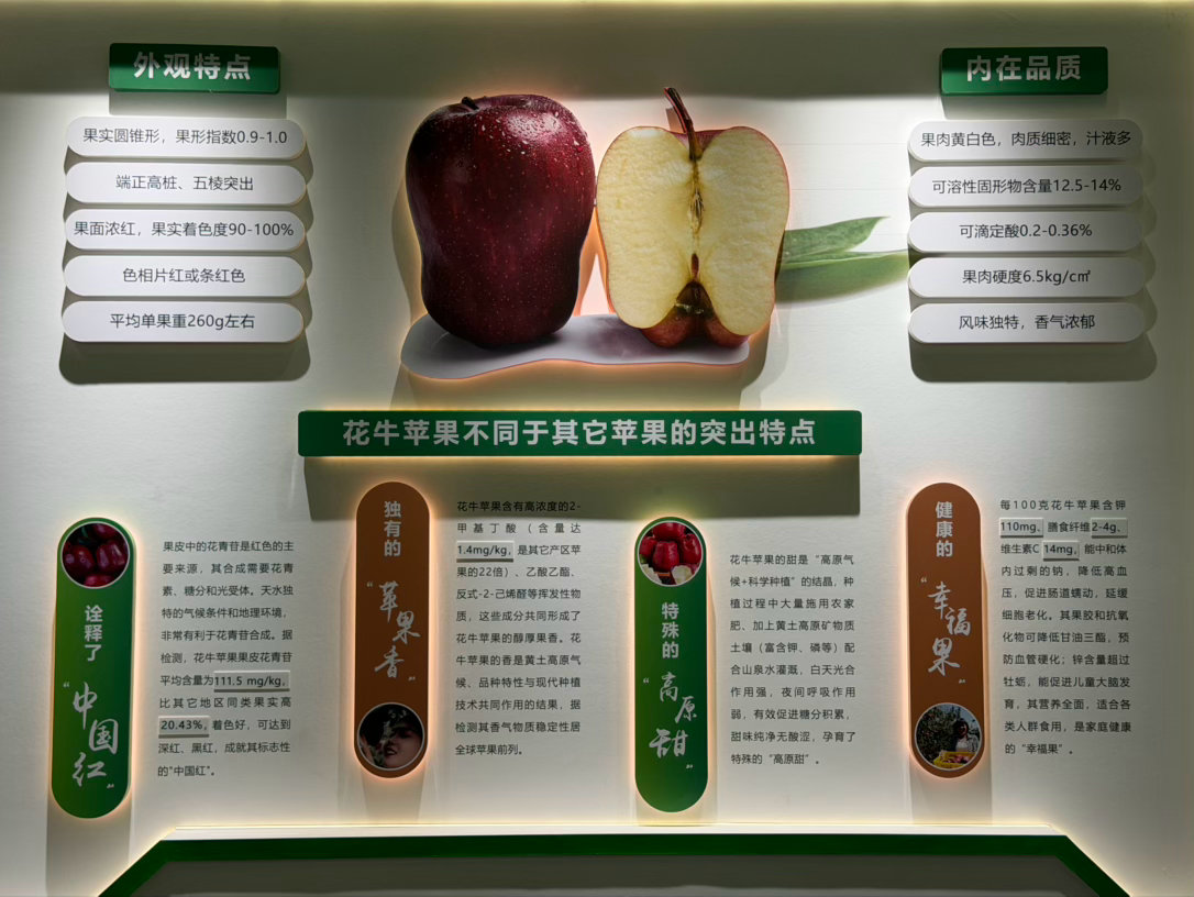 全国有名的花牛苹果就产自甘肃，在天水籍河南岸山谷的高坡上就是生产基地。天水的自然
