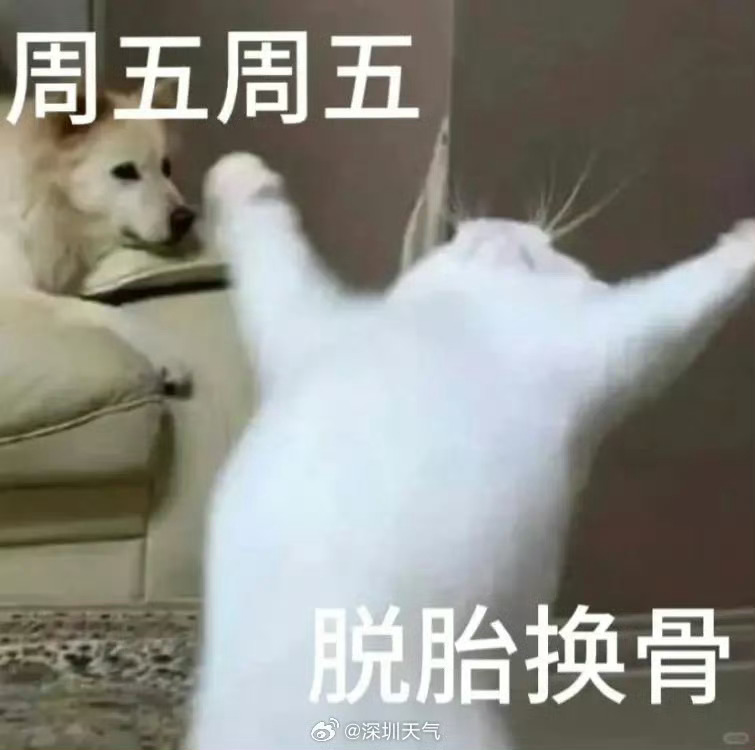 肇庆  