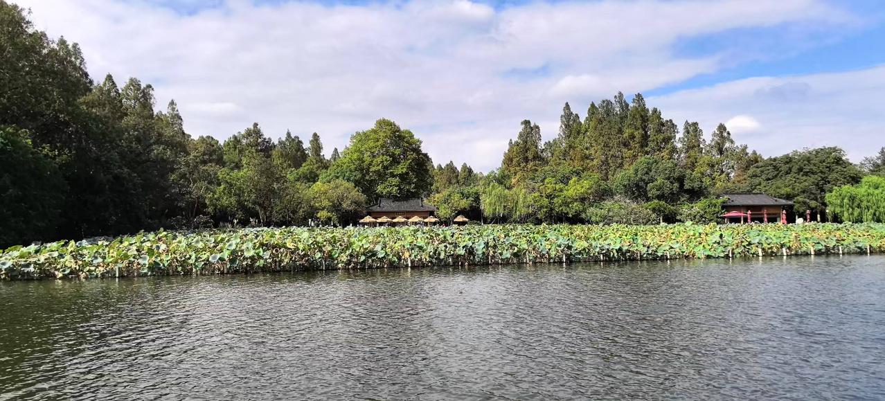 池畔新荷道春早