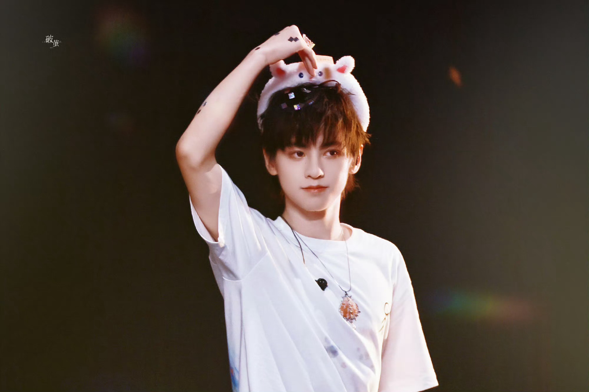 四代的杨涵博很适合兔塑 