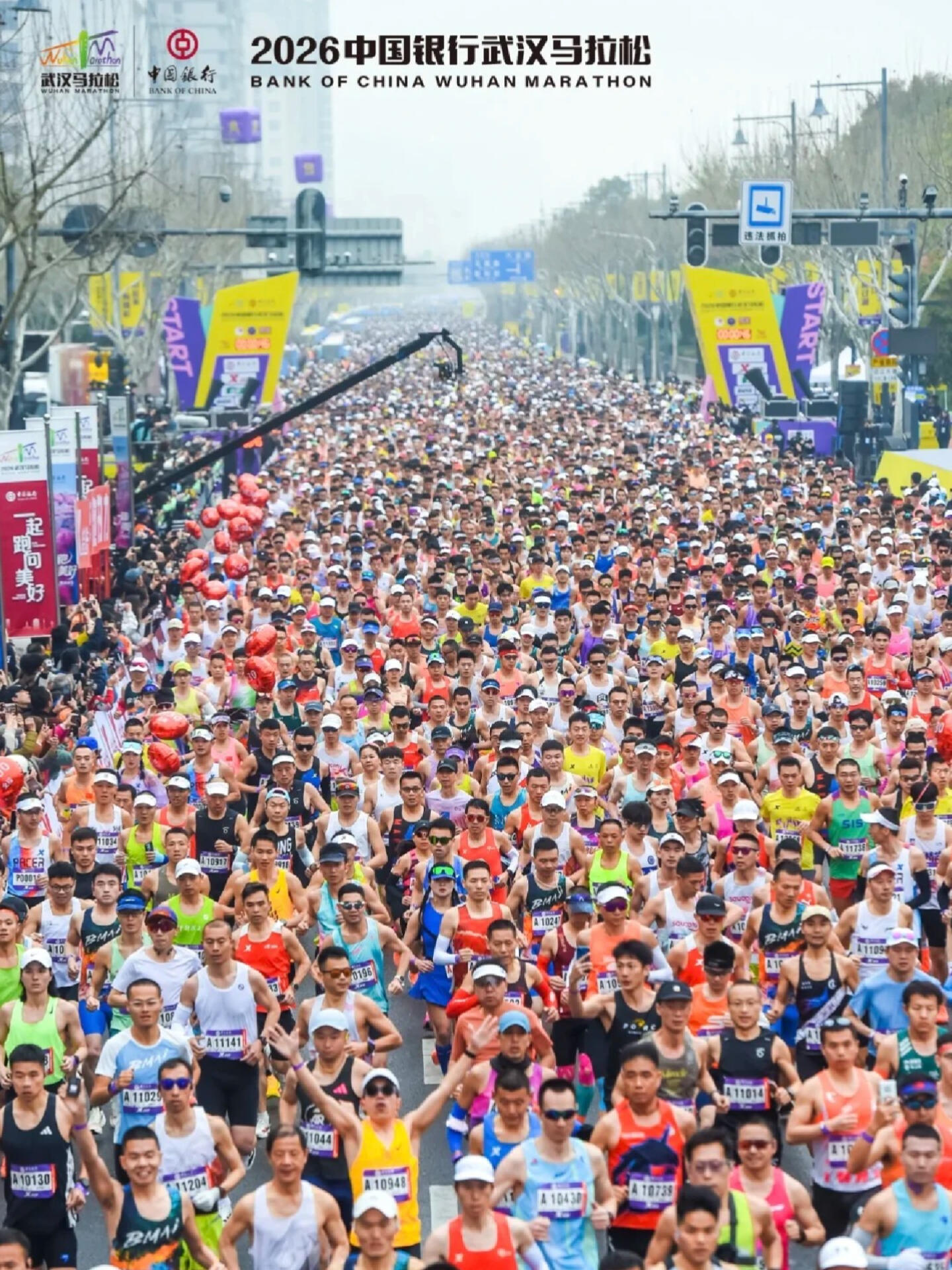 今年汉马吸金10.15亿元今年汉马吸金10.15亿元，樱花加赛事双buff拉满，