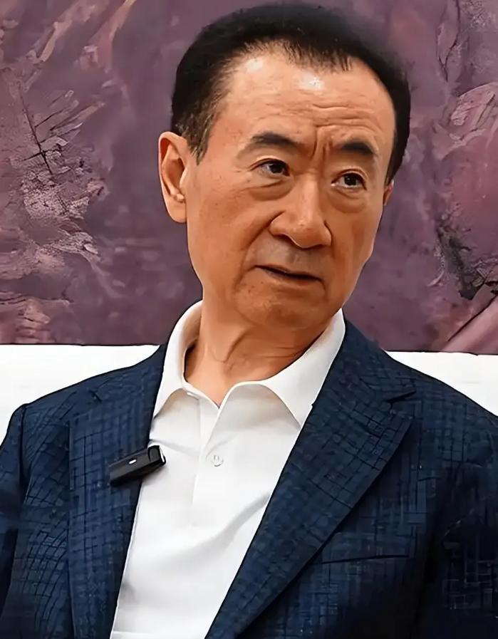 有网友说，王健林是真狠！身价仅剩290亿的他，居然靠卖万达广场，在6年内基本还清