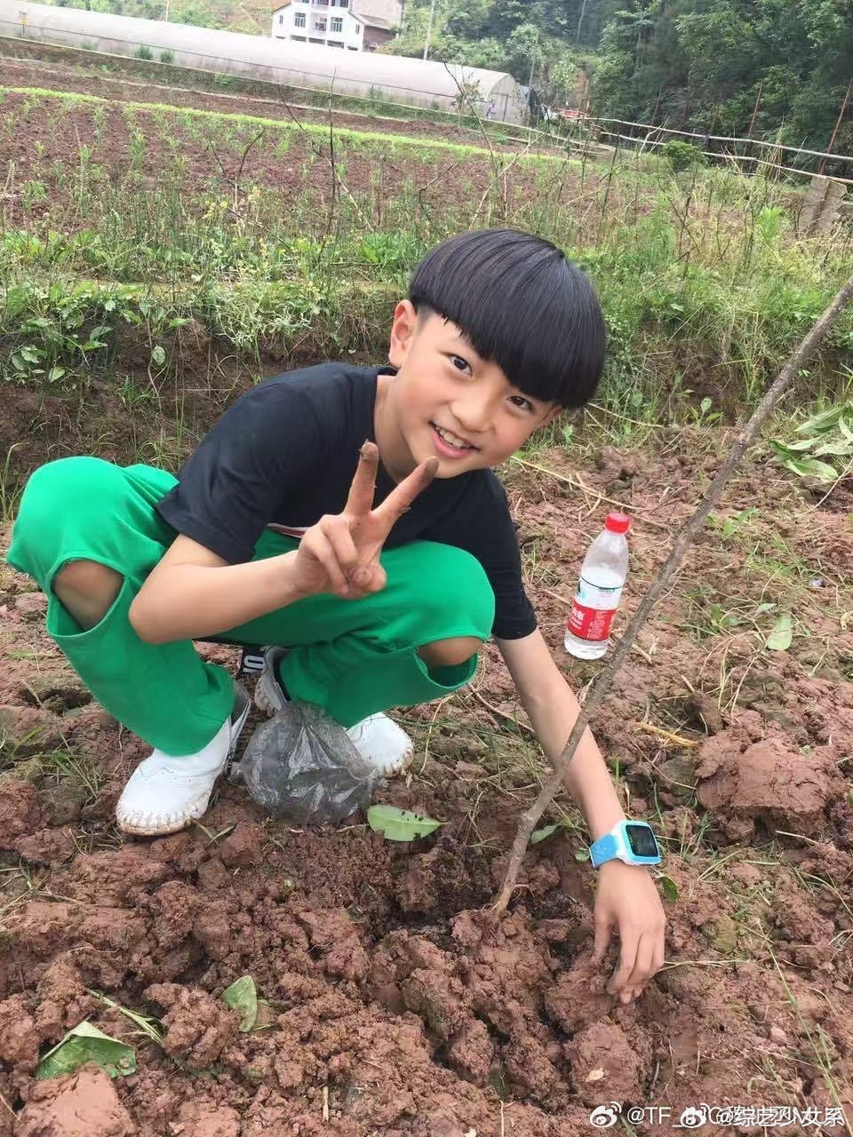 穆祉丞西瓜头穆祉丞菜地西瓜头 好可爱啊哈哈哈 