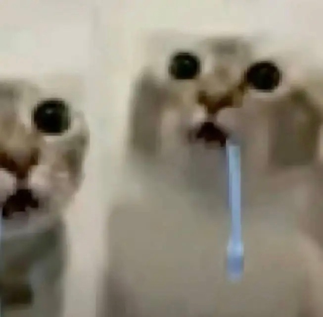 𝙒𝙚𝘾𝙝𝙖𝙩︳抽象情侣头像 