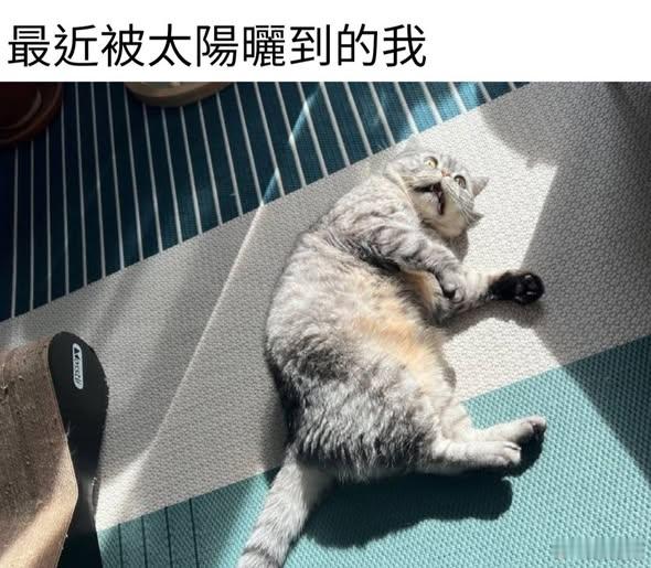 我觉得我快死了memes迷译图