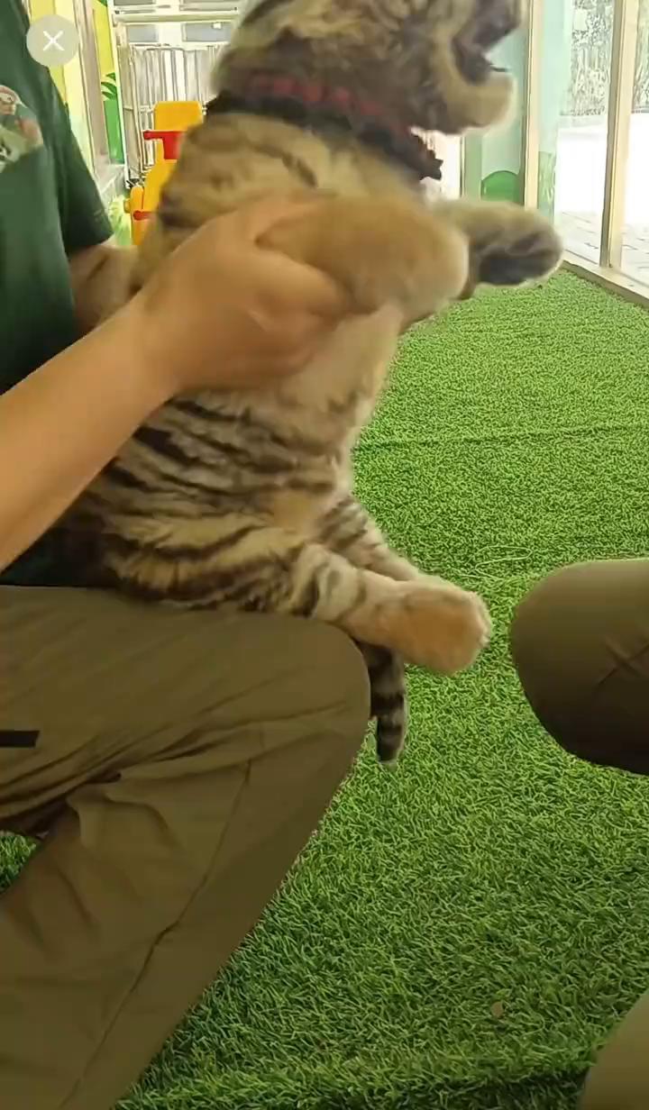 哈哈哈哈。