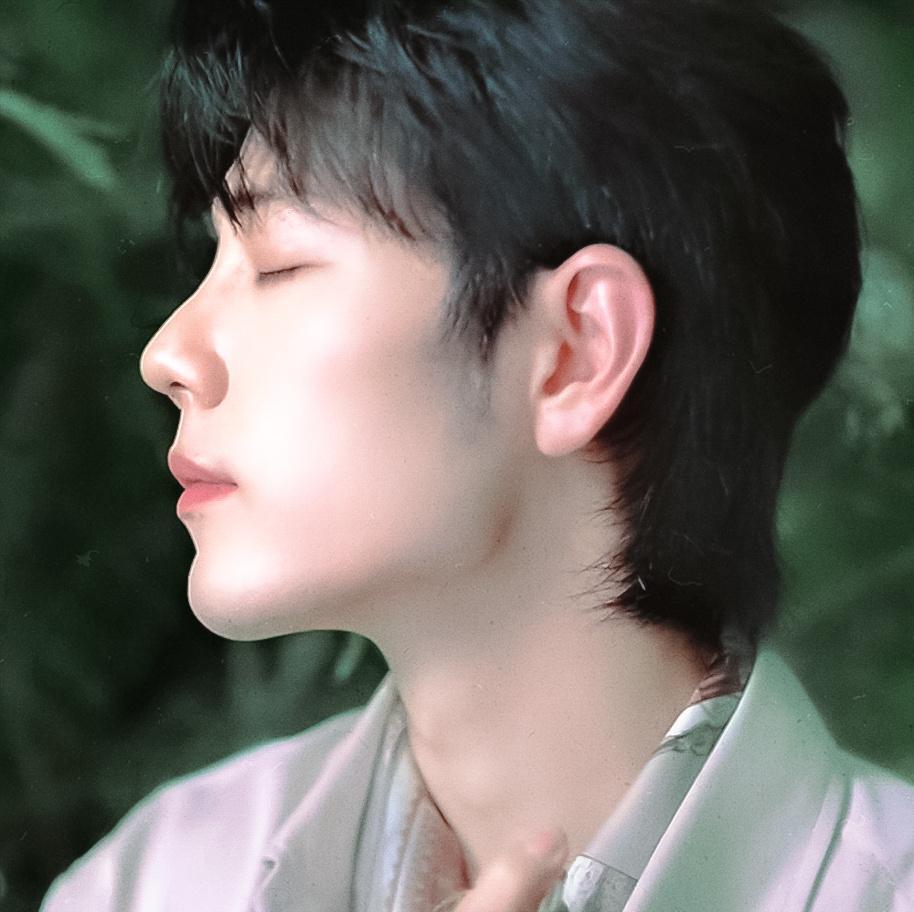 青🍃肖战
