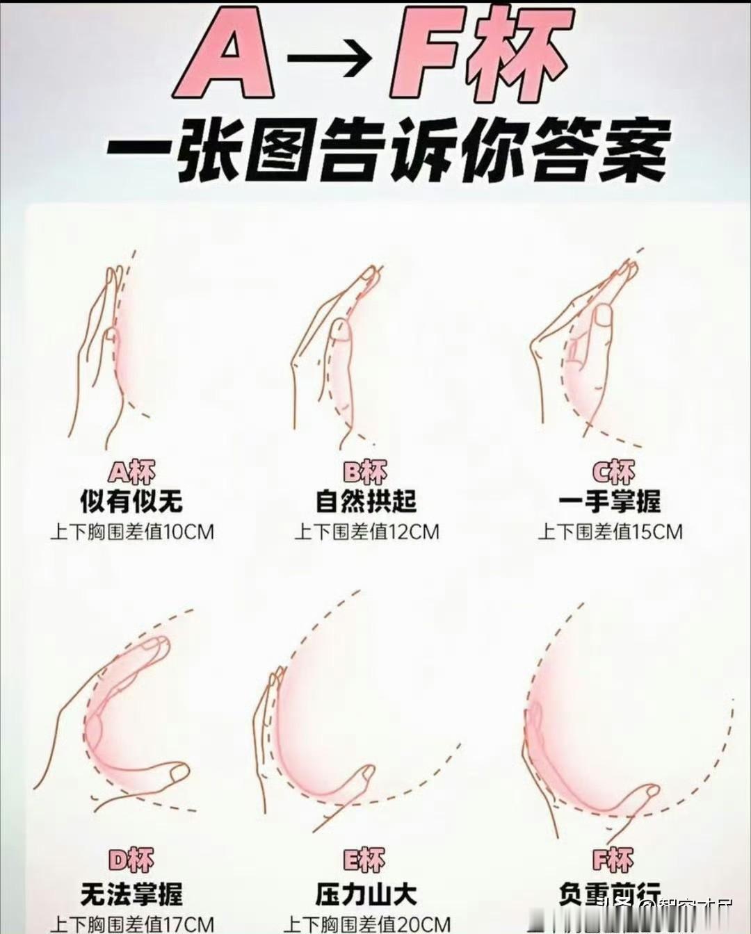 A到F杯，一张图告诉你答案 ​​​