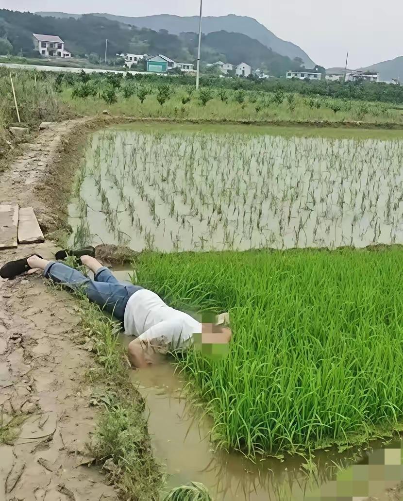 并非谁死谁有理！成都这起判决，终于给“无理索赔”刹住了车。
 
七旬大爷自带基础