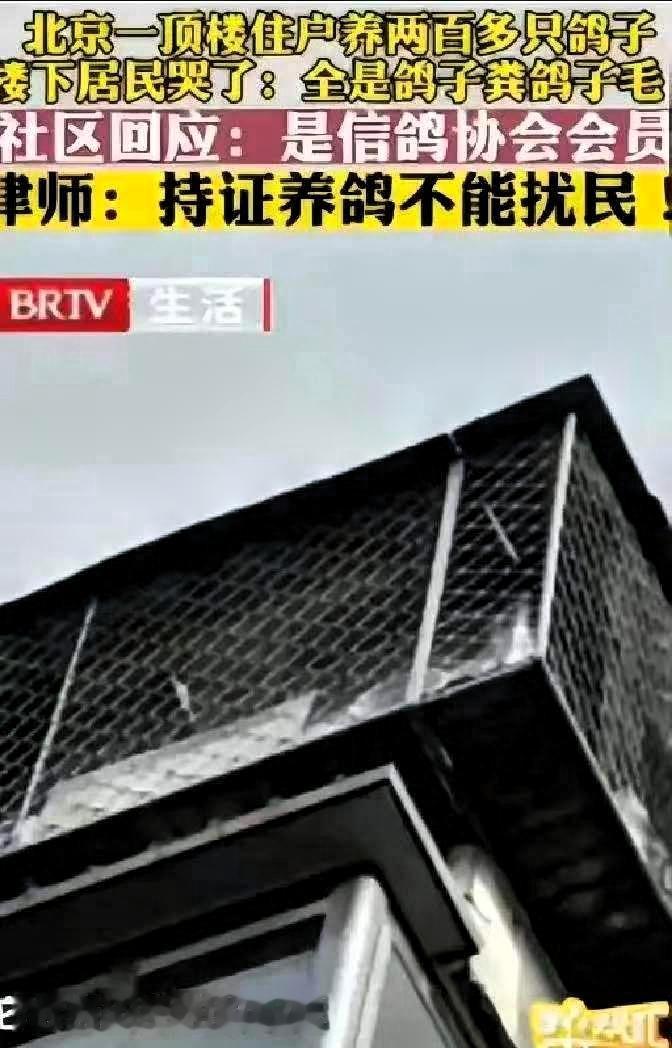 “太缺德了。”北京一男子花235万元买套房子，结果楼上邻居养了200多只鸽子，长