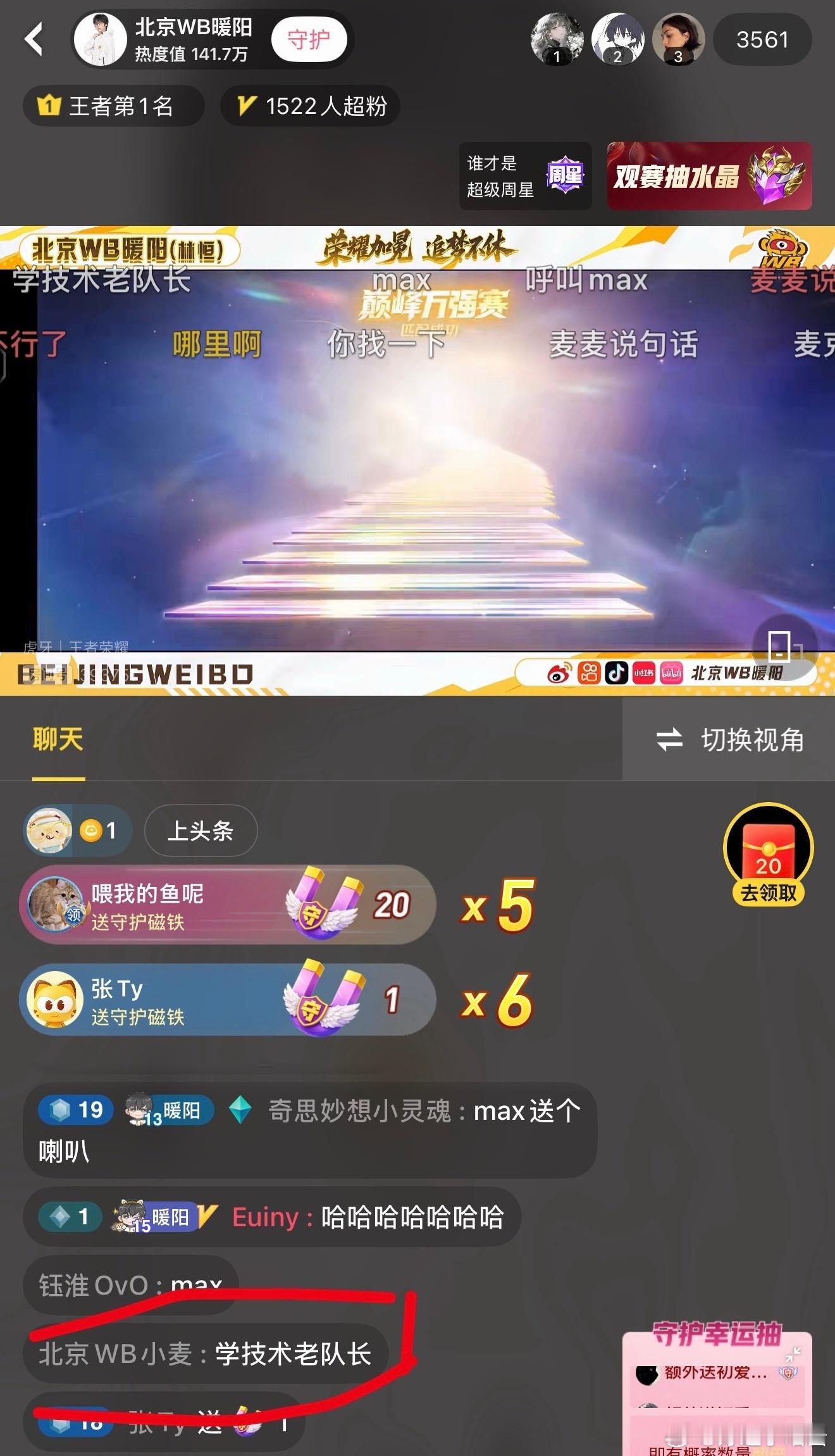 麦麦又来了[柯基] ​​​