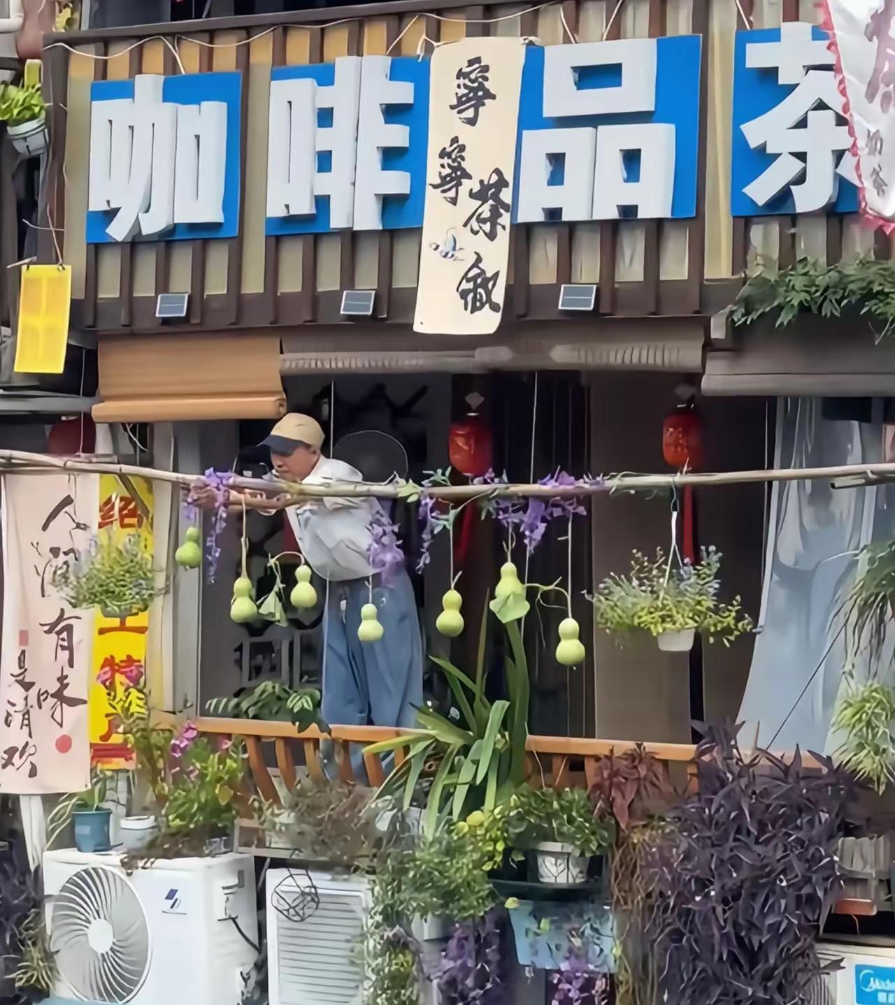 绍兴盗版“七个葫芦娃”出来了，就在正版的陈大爷隔壁，自从陈大爷种出了七个葫芦爆火