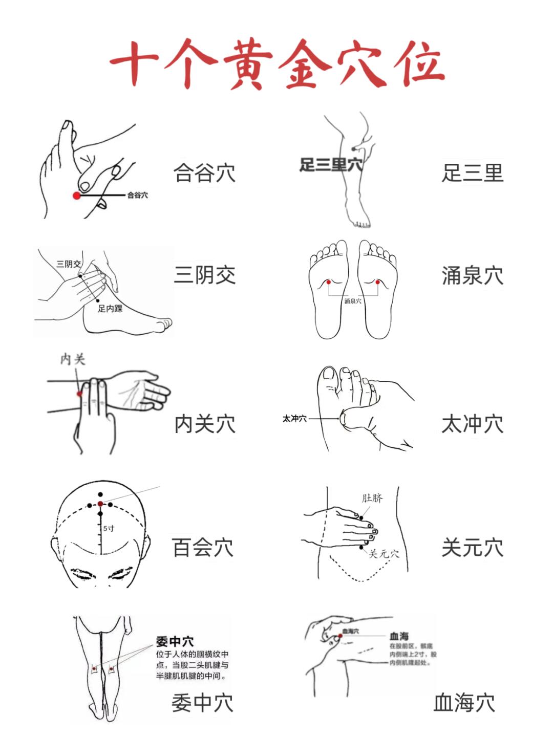 10大穴位全身调里指南