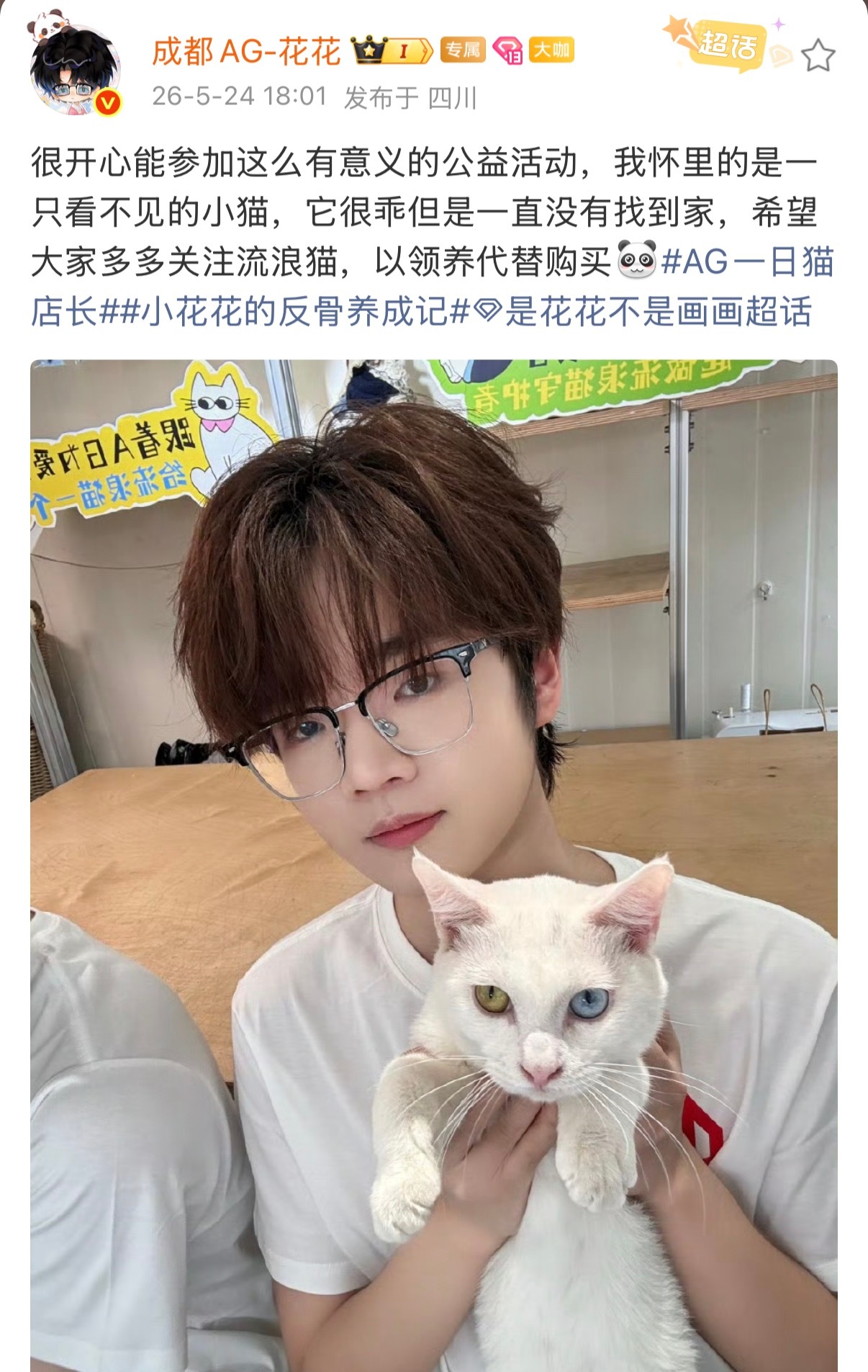 是花花不是画画  和花花一起关爱流浪猫～ag一日猫店长2026pel