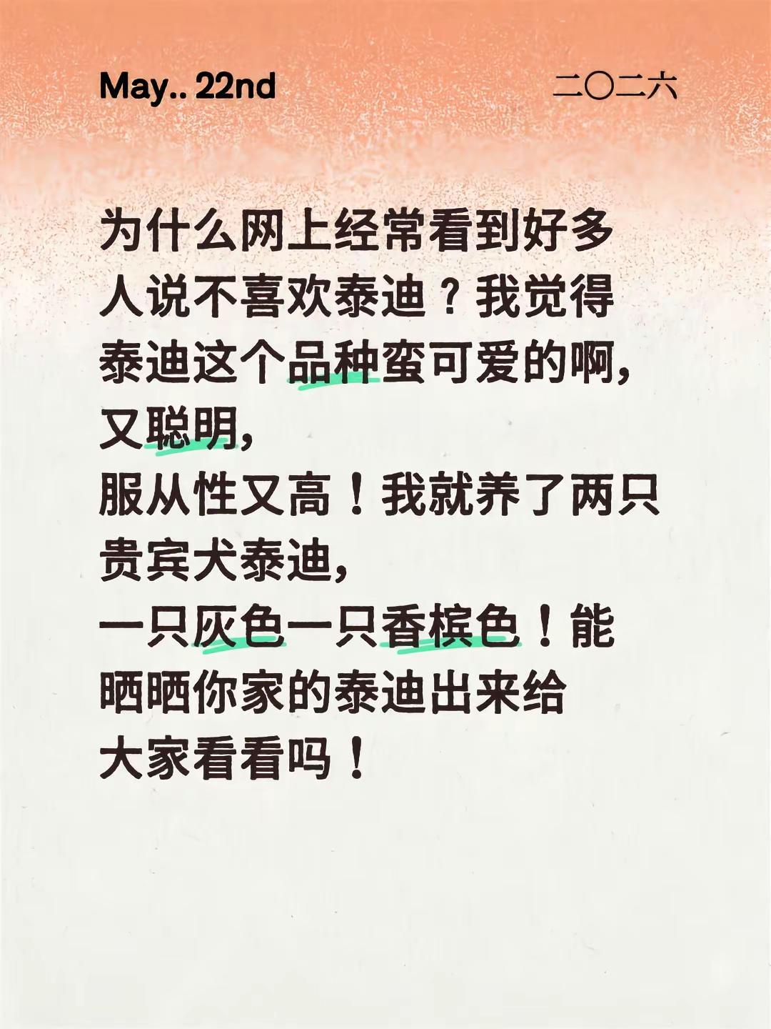 为什么网上经常看到好多人说不喜欢泰迪？我觉得泰迪这个品种蛮可爱的啊，又聪明，服从