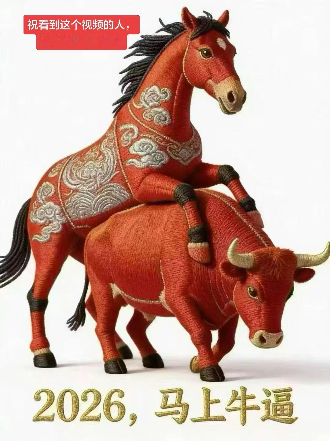 祝看到这个视频的人，2026年马上牛逼