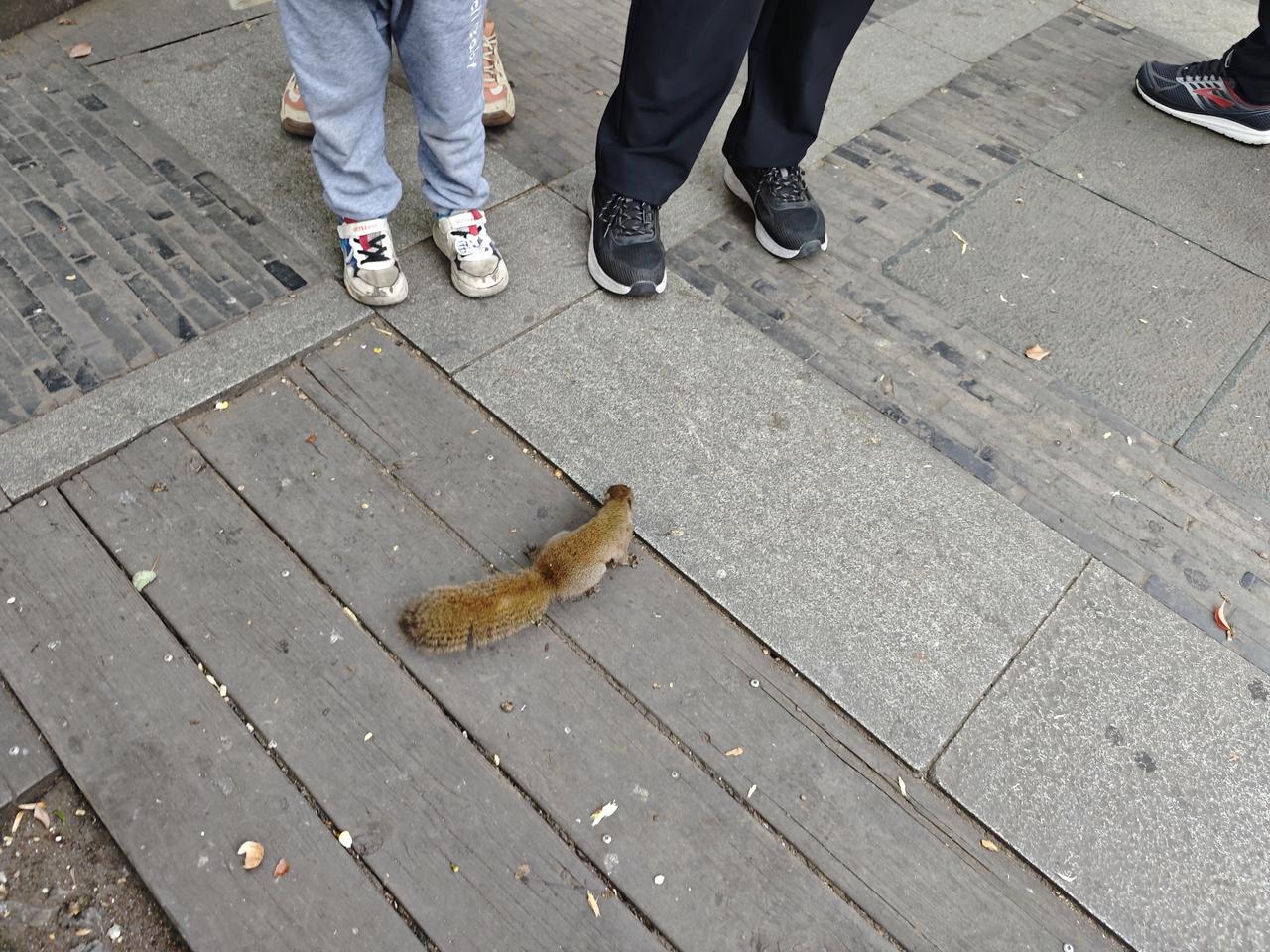 对于孩子不爱学习只想玩手机，家长应该禁止孩子在吃饭、睡觉前以及学习时间使用手机。