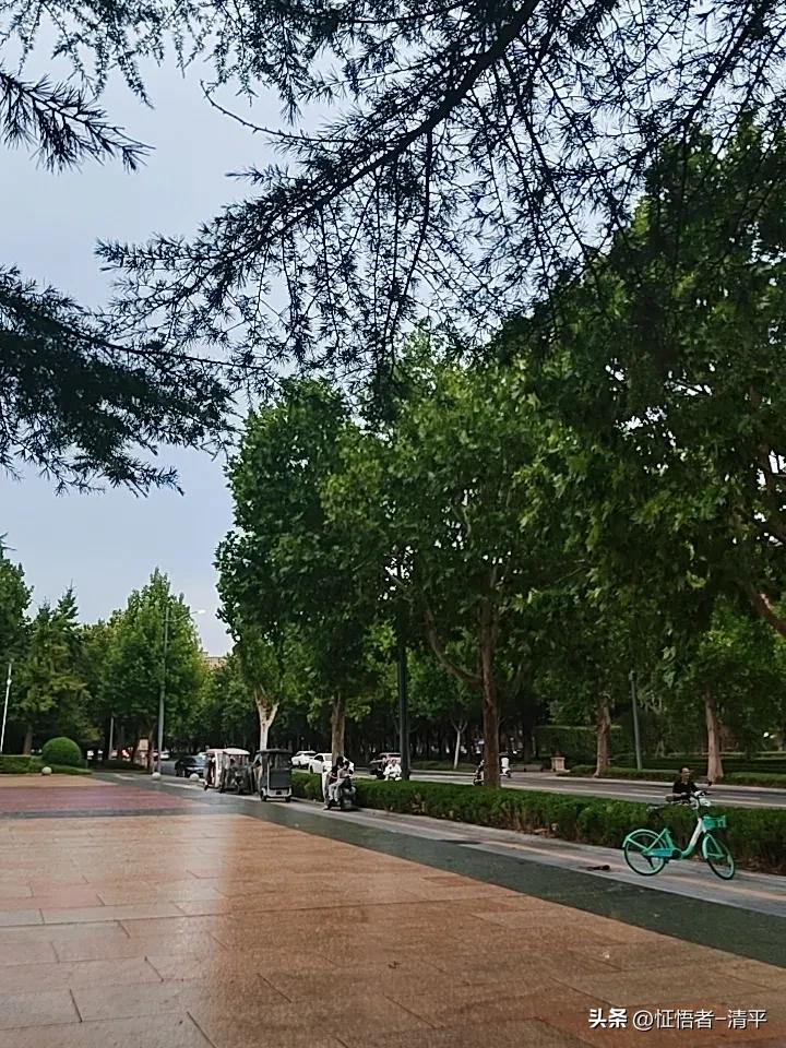 没有行动力，不是懒，是心不够干净。
你之所以拖延、半途而废，不是因为缺乏毅力，而