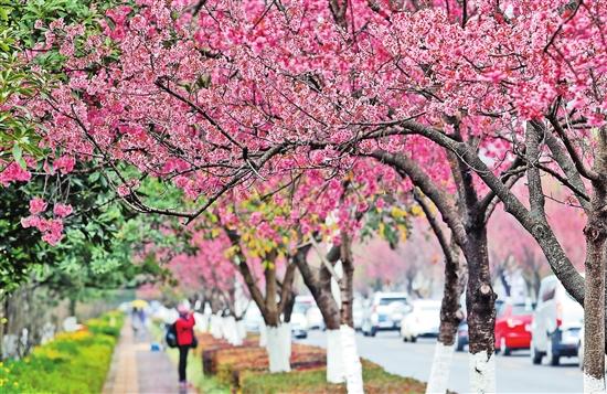 周五大A即将迎来关键走势！
回顾周四大A行情，三大指数集体回调，跌幅均超1%，深