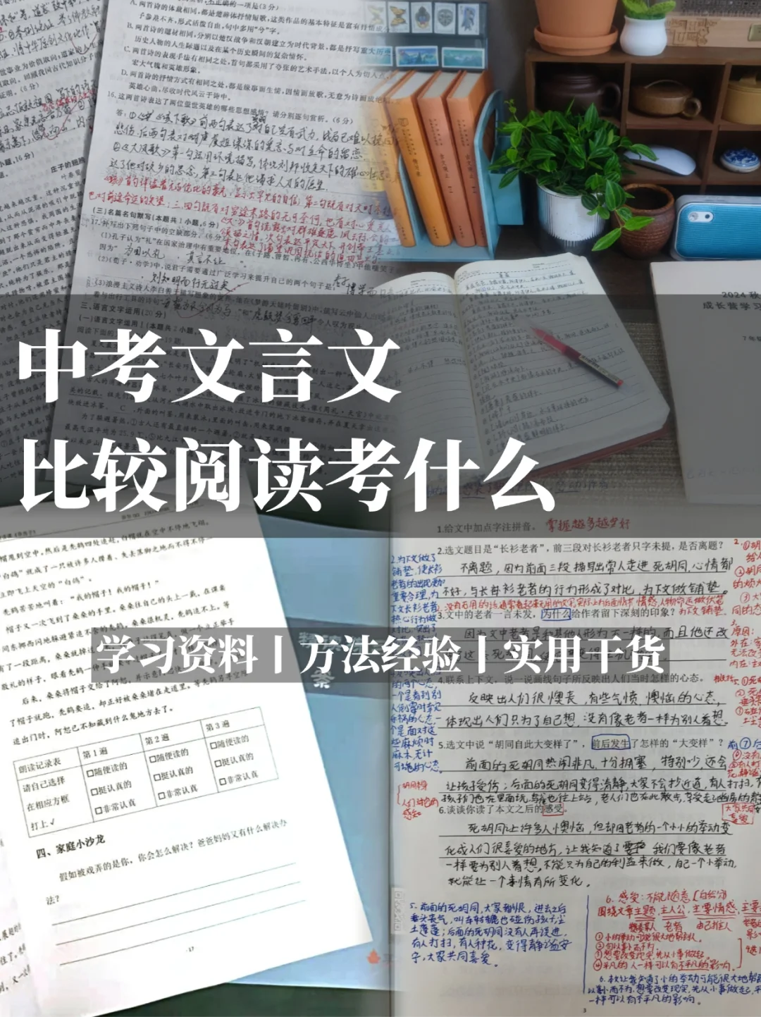 中考文言文比较阅读考什么练什么