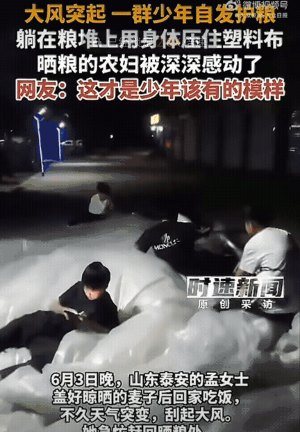 东泰安，女生刚把小麦盖好塑料布回家吃饭，大风将至。她疯跑回去以为麦子要被吹得满天