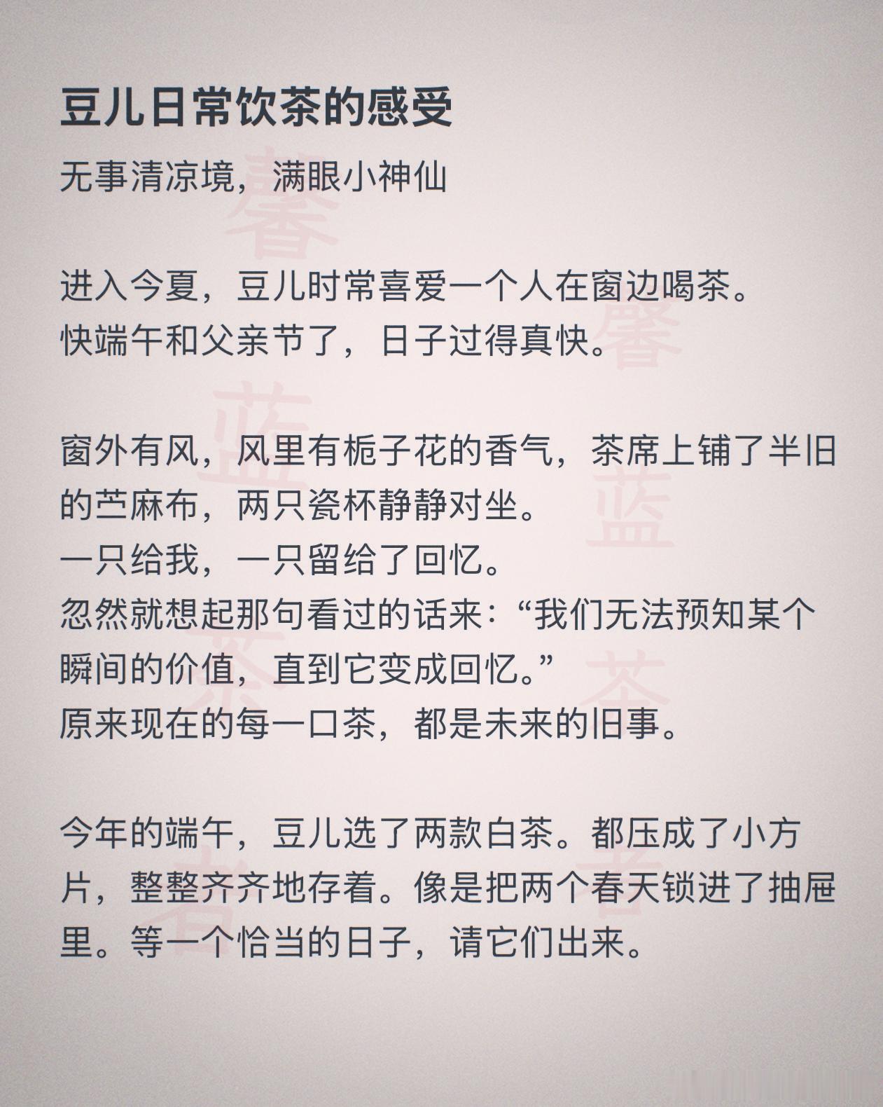 豆儿日常饮茶的随笔感受，茶在桌上，我们在人间。馨蓝茶者生活感悟日常 成都·青羊