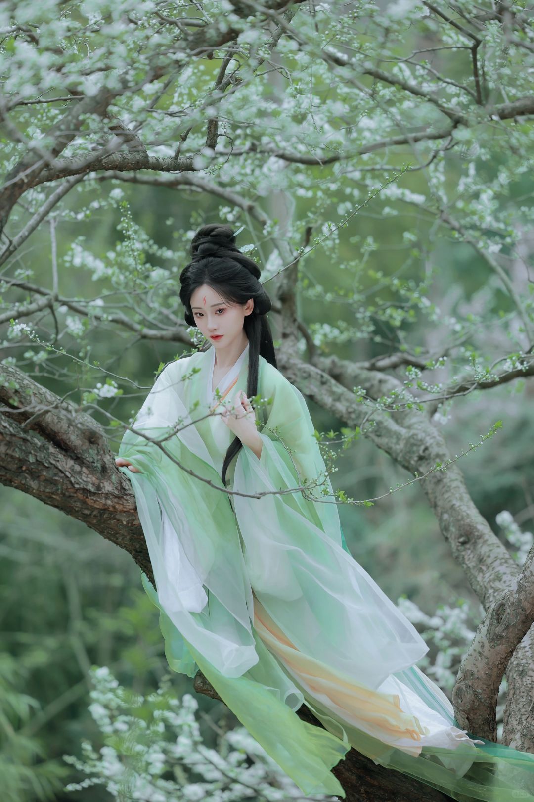 春有约，花不误，我好像拍到了春神降临。